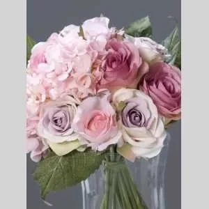 Bahia, babysitter à Paris