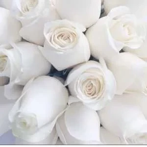 Cissé, babysitter à Paris